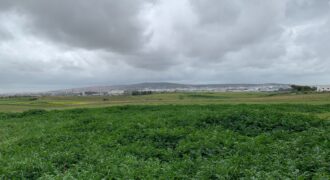 Terrain (Plus 3 hectares) à Vendre-Tanger